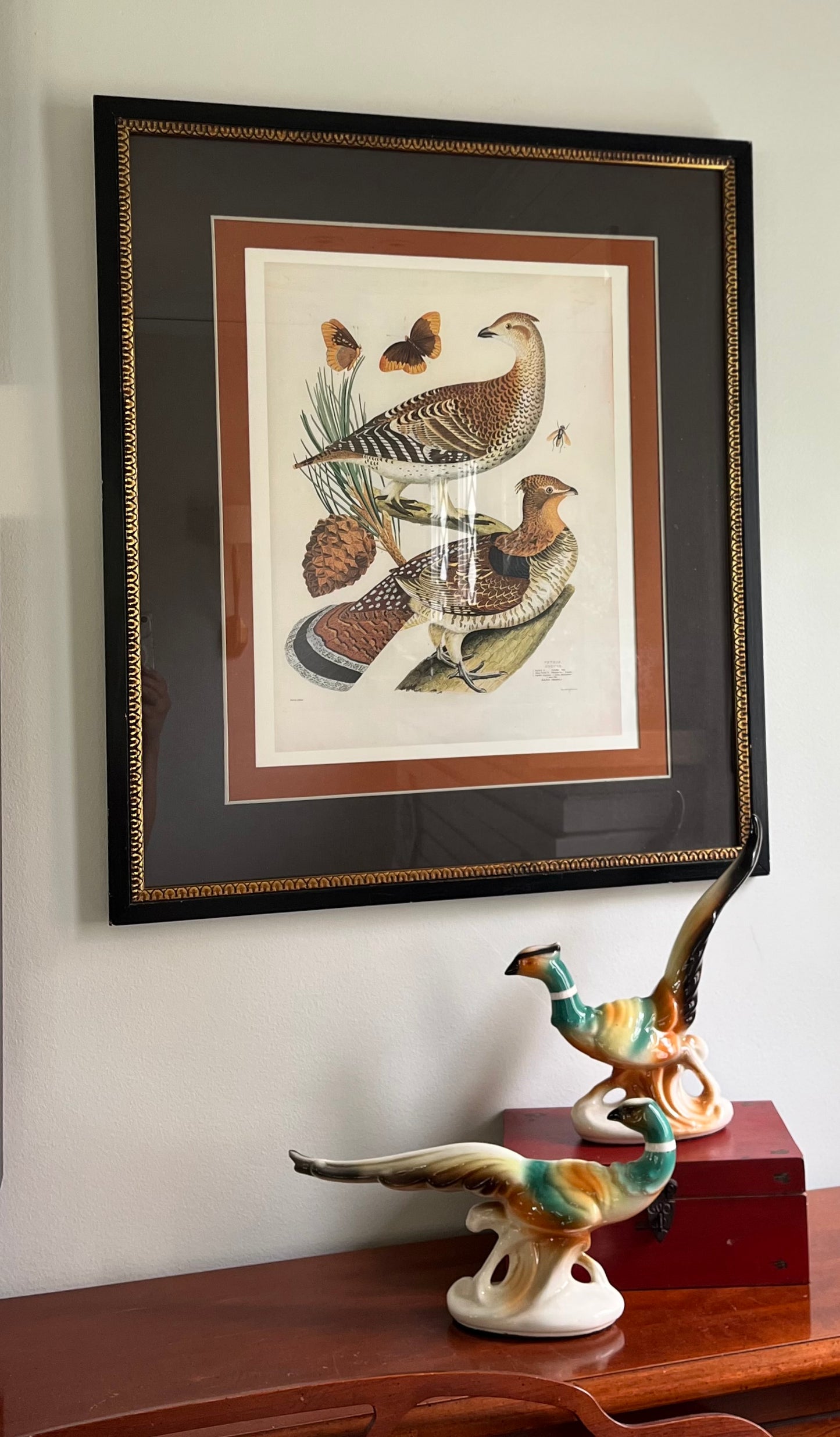 Framed Grouse Print
