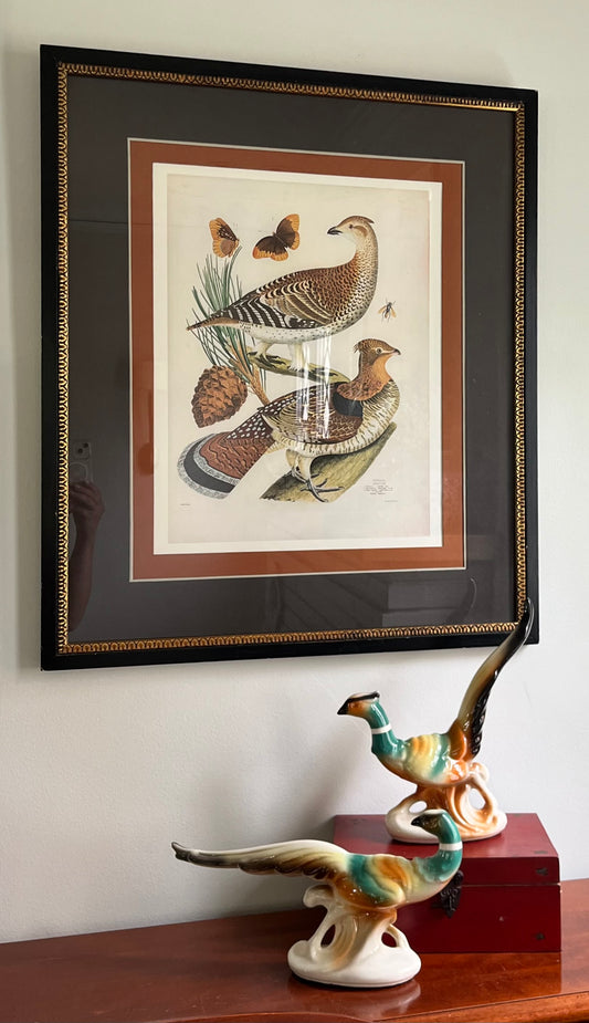 Framed Grouse Print